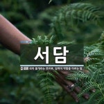 서담 뜻: 쥐의 쓸개라는 뜻으로, 담력이 약함을 이르는 말.