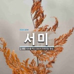 서미 뜻