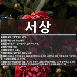 서상 뜻: 집의 서쪽에 있는 곁채., 책을 넣어 두는 궤짝., 윗부분이나 앞부분에서 말하거나 적음., [국어 사전]