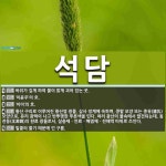 석담 뜻: 바위가 깊게 파여 물이 맑게 괴어 있는 곳., ‘이윤우’의 호.... , 황산 [국어 사전] 석담 뜻: 바위가 깊게 파여 물이 맑게 괴어 있는 곳.... 