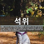 석위 뜻