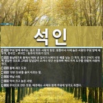 석인 뜻: 무덤 앞에 세우는, 돌로 만든 사람의 형상. 왕릉이나 지체 높은 사람의 무덤 앞에 세우며, [국어 사전]