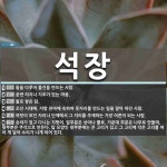 석장 뜻