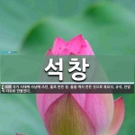 석창 뜻: 석기 시대에 사냥에 쓰던, 돌로 만든 창. 돌을 깨서 만든 것으로 흑요석, 규석, 안암석 석창 뜻: 석기 시대에... 