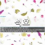 석호 뜻: 왕릉이나 큰 무덤 주위에 돌로 만들어 세운 호랑이., 사취, 사주 따위가 만의 입구를 막아 [국어 사전]