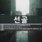 선골 뜻