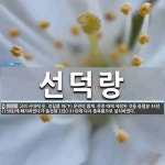 선덕랑 뜻: 고려 시대에 둔, 정칠품 하(下) 문관의 품계. 문종 때에 제정된 것을 충렬왕 34년(13