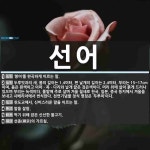 선어 뜻: ‘붕어’를 완곡하게 이르는 말., 두루밋과의 새. 몸의 길이는 1.4미터, 편 날개의 길이 [국어 사전]