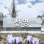 선영 뜻