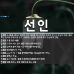 선인 뜻