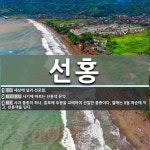 선홍 뜻: 세상에 널리 선포함., 사기에 바르는 선홍색 유약., 사과 품종의 하나. 홍로에 추광을 교 [국어 사전]