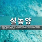 설농양 뜻