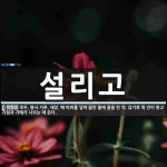 설리고 뜻: 호두, 붕사 가루, 새앙, 배 따위를 넣어 끓인 물에 꿀을 탄 약. 감기로 목 안이 붓고 설리고 뜻: 호두, 붕사 가루, 새앙, 배 따위를 넣어... 