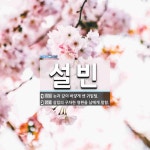 설빈 뜻: 눈과 같이 하얗게 센 귀밑털., 살림의 구차한 형편을 남에게 말함. [국어 사전]