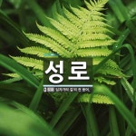 성로 뜻: ‘십자가의 길’의 전 용어.