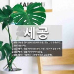 세공 뜻: 잔손을 많이 들여 정밀하게 만듦. 또는 그런 수공(手工)., 가는 구멍., 해마다 철을 따 [국어 사전]