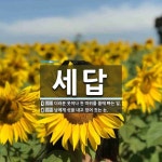 세답 뜻: 더러운 옷이나 천 따위를 물에 빠는 일., 남에게 삯을 내고 얻어 짓는 논. [국어 사전]