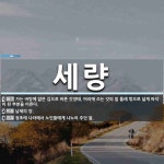 세량 뜻: 가는 바탕에 얇은 깁으로 바른 갓양태. 머리에 쓰는 갓의 밑... 바른 갓양태. 머리에 쓰는 갓의 밑 둘레 밖으로 넓게 바닥이 된  [국어 사전]