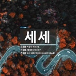 세세 뜻: 거듭된 여러 대., ‘세세하다’의 어근., 여러 해를 끊이지 아니하고 계속함. [국어 사전]