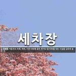 세차장 뜻