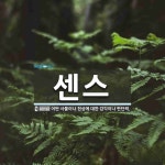 센스 뜻: 어떤 사물이나 현상에 대한 감각이나 판단력.