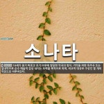 소나타 뜻: 16세기 중기 바로크 초기 이후에 발달한 악곡의 형식. 기악을 위한 독주곡 또는 실내악으로