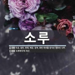 소루 뜻: 두공, 첨차, 한대, 제공, 장여, 화반 따위를 받치는 네모진 나무., ‘소루하다’의 어근 [국어 사전]