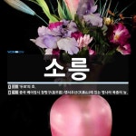 소릉 뜻: ‘두보’의 호., 중국 베이징시 창핑구(昌平區) 톈서우산(天壽山)에 있는 명나라 목종의 능 [국어 사전]