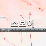 소보어 뜻: 북한 문법에서, 이중 보어의 장면 보어를 이르는 말. ‘널판을 구멍을 뚫다’에서 ‘구멍을’