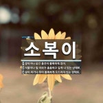 소복이 뜻: 쌓이거나 담긴 물건이 볼록하게 많이., 식물이나 털 따위가 촘촘하고 길게 나 있는 상태로. [국어 사전]