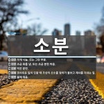 소분 뜻: 작게 나눔. 또는 그런 부분., 조금 화를 냄. 또는 조금 분한 마음., 작은 분란., 경 [국어 사전]