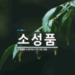 소성품 뜻: 소성로에서 구워 만든 제품.