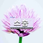 소솜 뜻: 약을 달일 때 약이 끓어 솟는 횟수를 세는 단위.