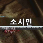 소시민 뜻: 노동자와 자본가의 중간 계급에 속하는 소상인, 수공업자, 하급 봉급생활자, 하급 공무원 따