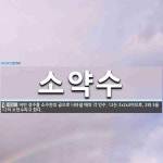 소약수 뜻