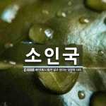 소인국 뜻: 왜인(矮人)들만 살고 있다는 상상의 나라.
