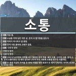 소통 뜻: 작은 통., 소금을 적게 담은 작은 섬. 흔히 서 말가량을 담는다., 막히지 아니하고 잘 [국어 사전] 소통 뜻... 