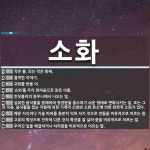소화 뜻