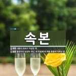 속본 뜻: 내용이 속되고 저급한 책., 불경이나 성경이 아닌, 속가(俗家)의 책을 통틀어 이르는 말. [국어 사전]