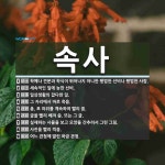 속사 뜻: 학예나 견문과 학식이 뛰어나지 아니한 평범한 선비나 평범한 사람., 세속적인 일에 능한 선 [국어 사전]