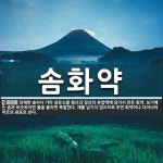 솜화약 뜻: 정제한 솜이나 기타 섬유소를 황산과 질산의 혼합액에 담가서 만든 화약. 보기에는 솜과 비슷