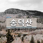 송덕산 뜻