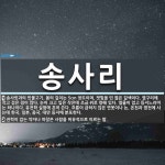 송사리 뜻: 송사릿과의 민물고기. 몸의 길이는 5cm 정도이며, 잿빛을 띤 엷은 갈색이다. 옆구리에 작 [국어 사전]