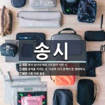 송시 뜻: 중국 송나라 때의 시인들이 지은 시., 공덕을 기리는 시. 서정적 시가 문학의 한 형태이다 [국어 사전]