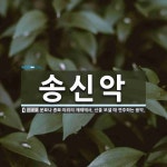 송신악 뜻: 문묘나 종묘 따위의 제례에서, 신을 보낼 때 연주하는 음악.
