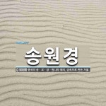 송원경 뜻