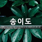 송이도 뜻: 전라남도 영광군 낙월면 송이리에 속하는 섬. 주요 어획물로는 조기, 새우, 고등어, 김, 송이도 뜻: 전라남도 영광군 낙월면... 