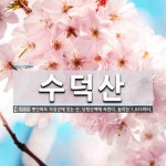 수덕산 뜻