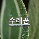 수레꾼 뜻: 수레로 짐 따위를 나르는 사람.