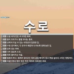 수로 뜻